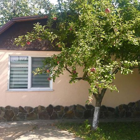Apartments With Kitchen And Garden Kiew Exterior foto